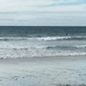 Meet your Posher, Heidi